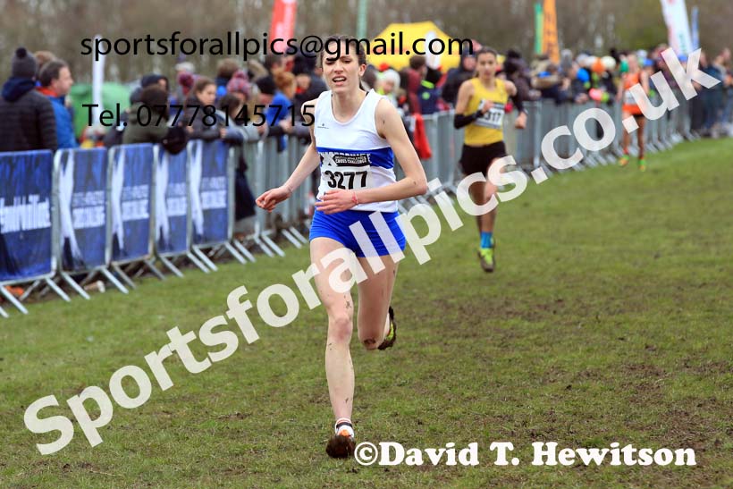 Womens Under-20s 2023 UK CAU Inter Counties Cross Country Champs, Prestwold Hall, Loughborough. Photo: David T. Hewitson/Sports for All Pics